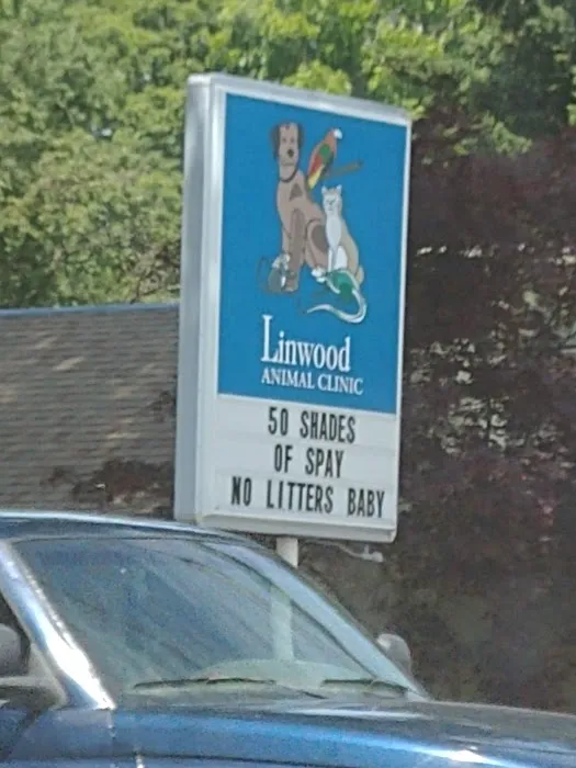 Linwood Animal Clinic Picture 2
