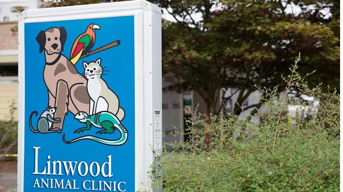 Linwood Animal Clinic Picture 3