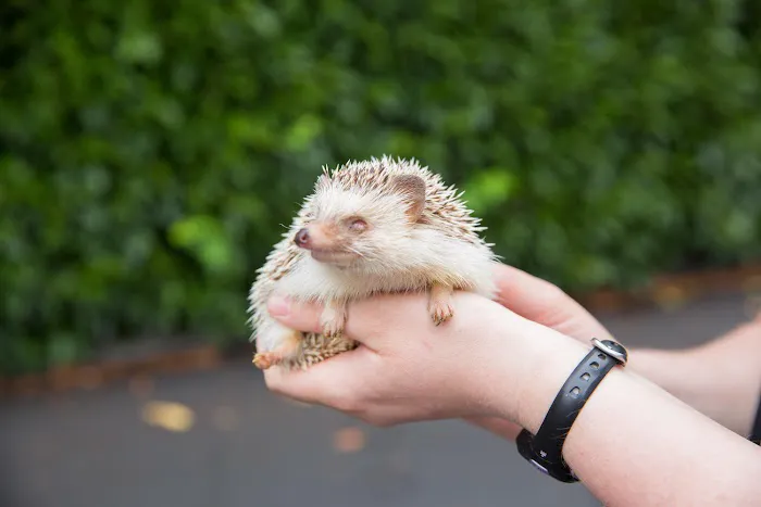 Linwood Animal Clinic Picture 7