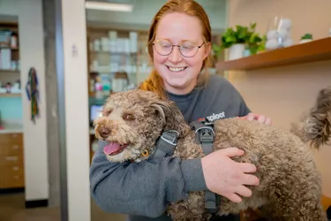 Sploot Veterinary Care - Platt Park Picture 1