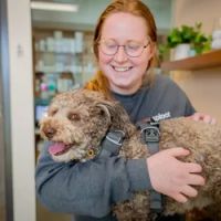 Sploot Veterinary Care - Platt Park ico