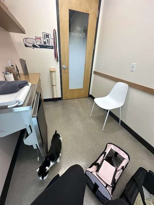 Sploot Veterinary Care - Platt Park Picture 9