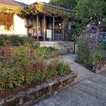Oswego Veterinary Hospital
