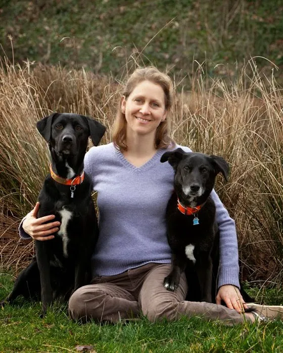 Oswego Veterinary Hospital Picture 4