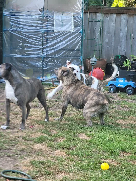 Full Circle Veterinary Care Picture 2