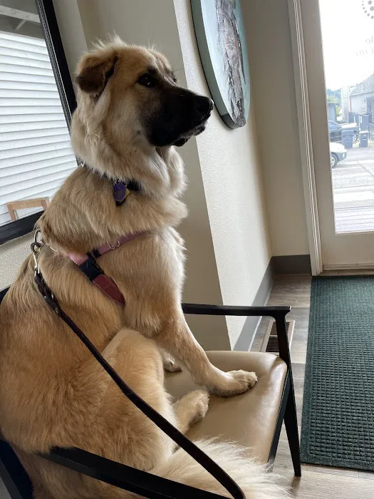 Full Circle Veterinary Care Picture 7