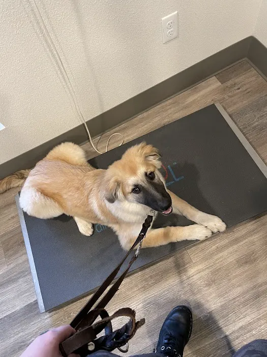 Full Circle Veterinary Care Picture 5