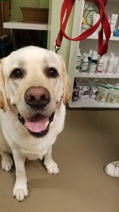 Full Circle Veterinary Care Picture 10
