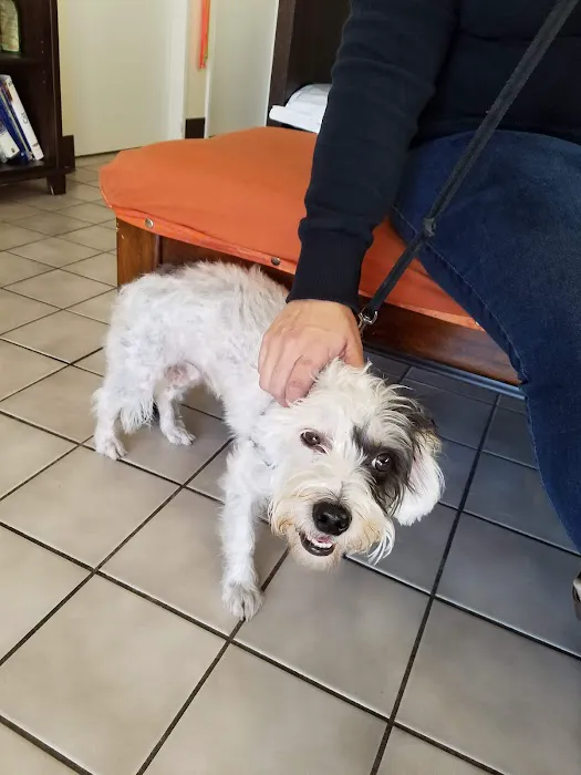 Full Circle Veterinary Care Picture 8