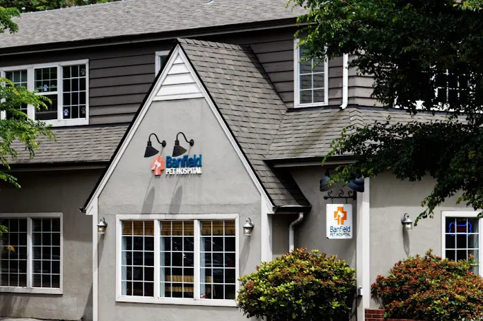 Banfield Pet Hospital Picture 6