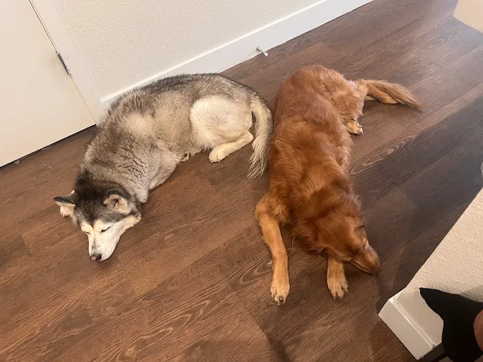 Park Animal Hospital and Wellness Center Picture 8
