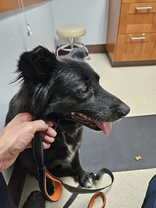 Park Animal Hospital and Wellness Center Picture 10