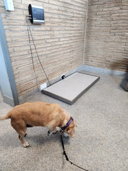 Animal Health Care Denver Picture 9