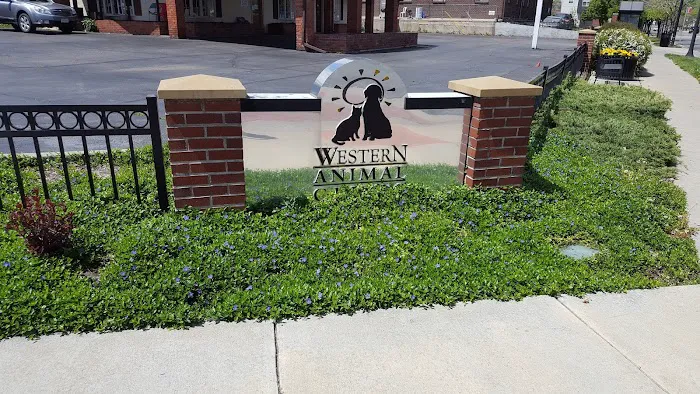 Western Animal Clinic Picture 3