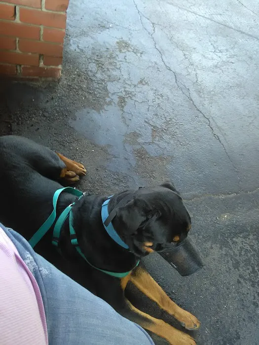 Western Animal Clinic Picture 6