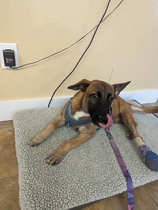 Second Chances Veterinary Care Picture 1