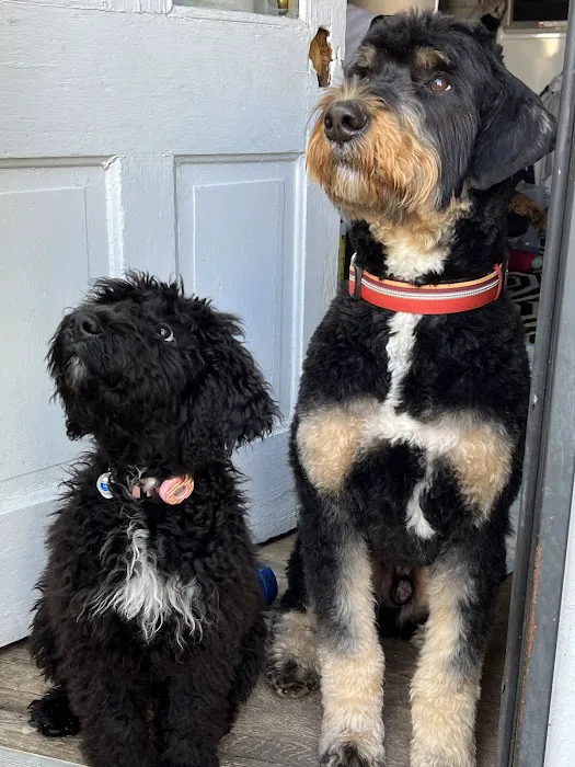 Second Chances Veterinary Care Picture 3