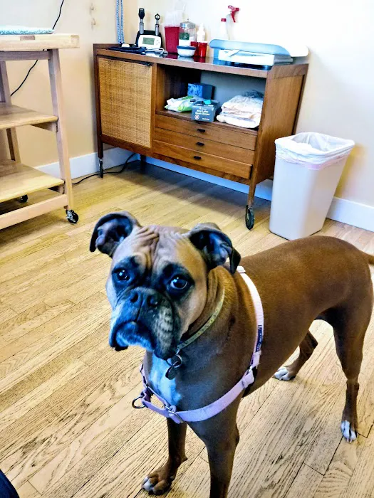 Second Chances Veterinary Care Picture 7