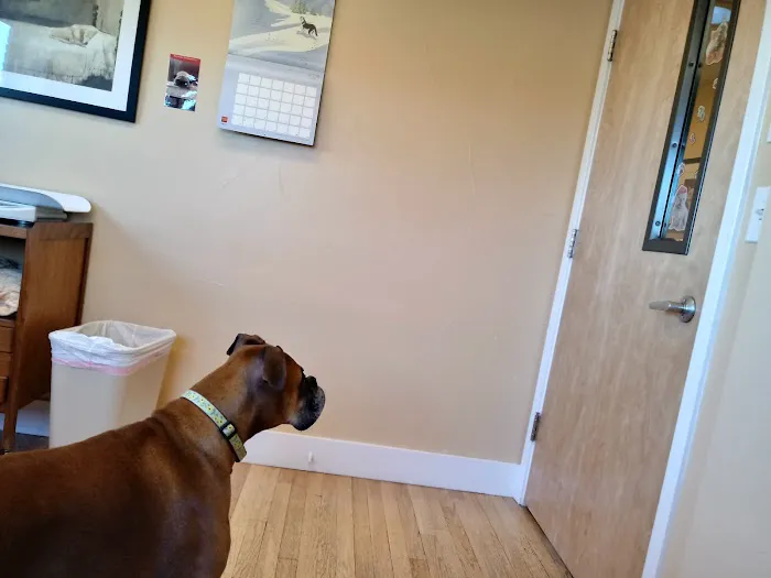 Second Chances Veterinary Care Picture 9