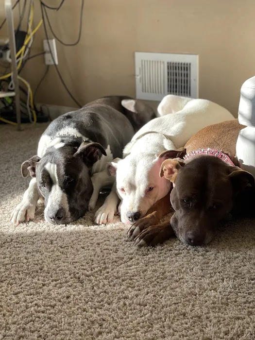 Second Chances Veterinary Care Picture 8