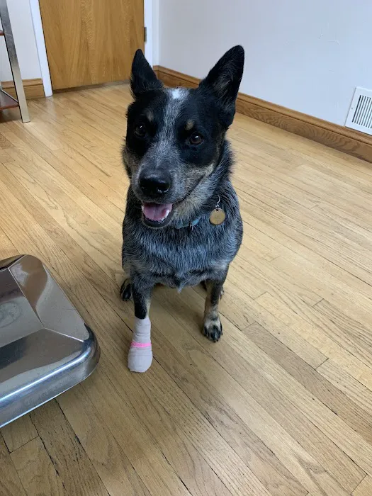 Wadsworth Animal Hospital Picture 10