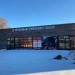 Veterinary Emergency Group