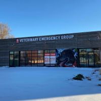 Veterinary Emergency Group ico
