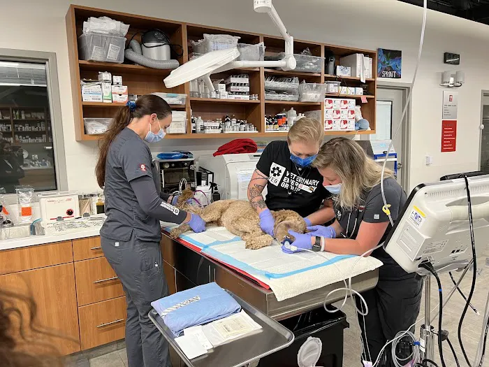Veterinary Emergency Group Picture 10