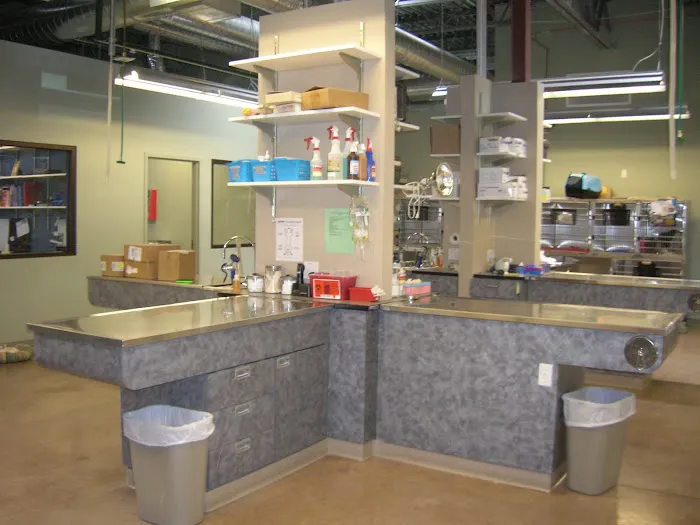 VCA Park Hill Animal Hospital Picture 5