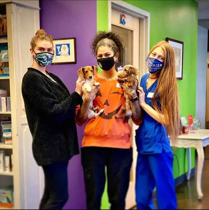 Park Hill Veterinary Medical Center Picture 2