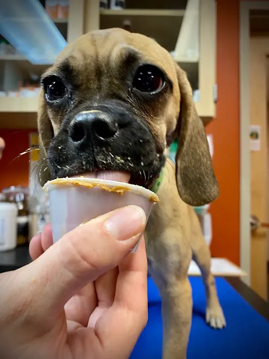 Park Hill Veterinary Medical Center Picture 6