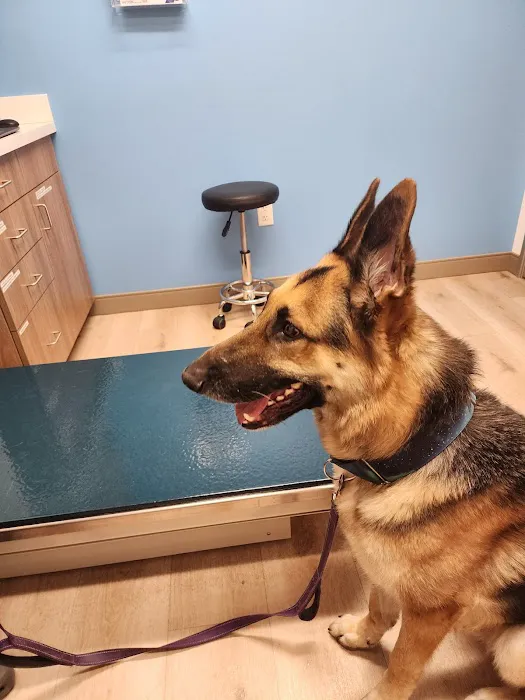 VetCare Animal Hospital Picture 4