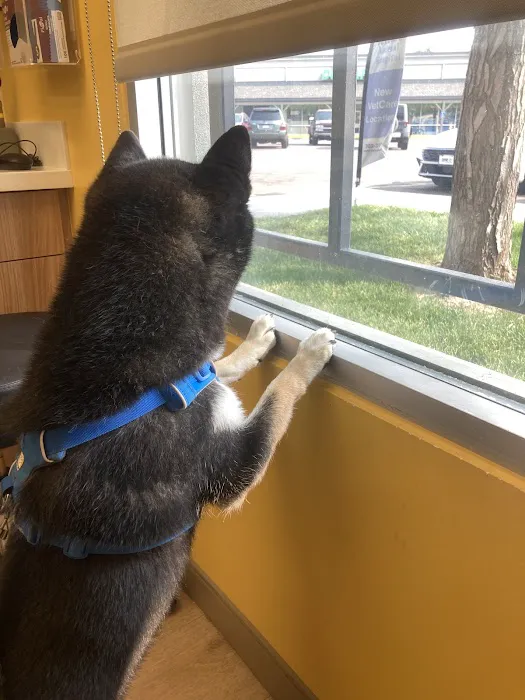 VetCare Animal Hospital Picture 8