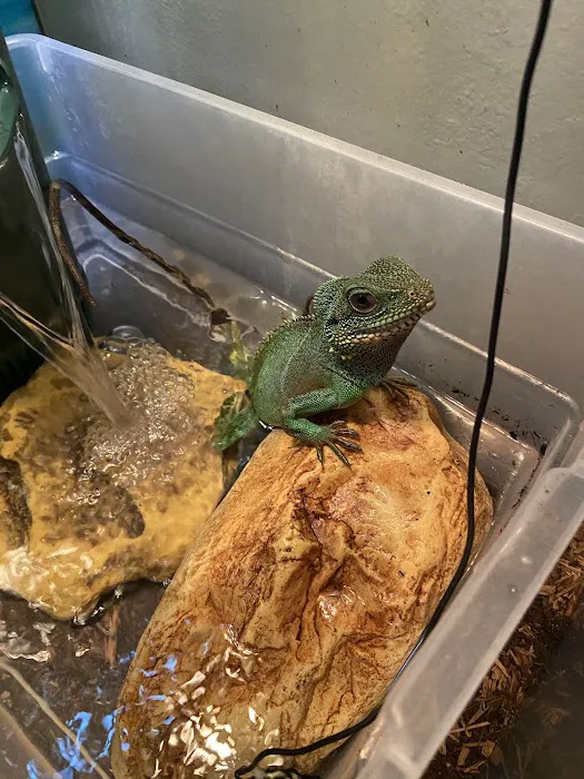VetCare Animal Hospital Picture 7
