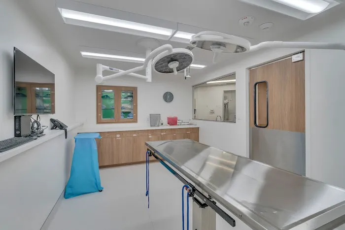VetCare Animal Hospital Picture 10