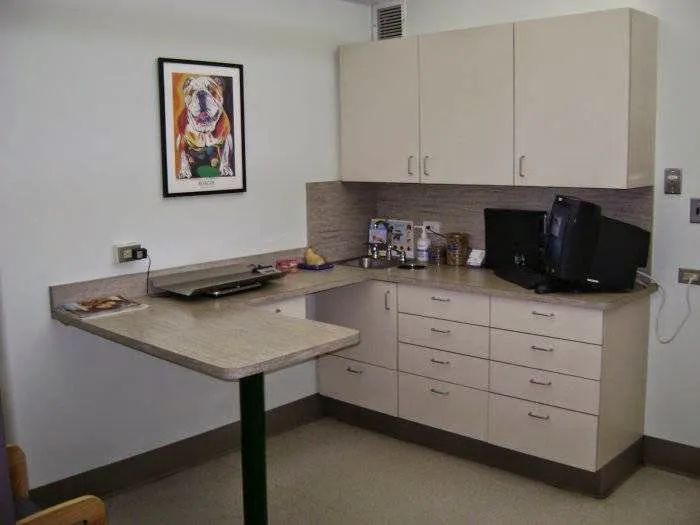 VCA Aspenwood Animal Hospital Picture 3