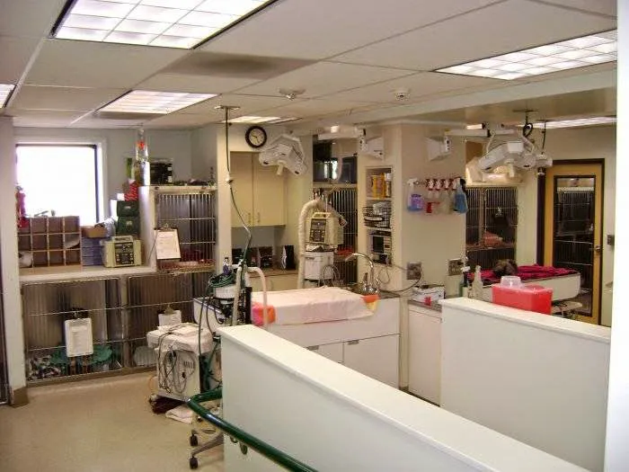 VCA Aspenwood Animal Hospital Picture 2
