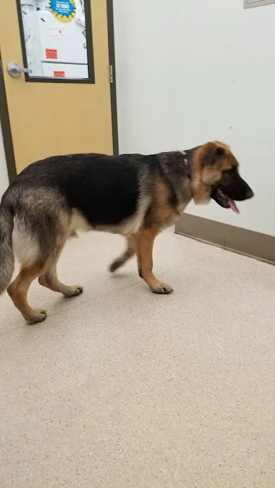 VCA Aspenwood Animal Hospital Picture 5