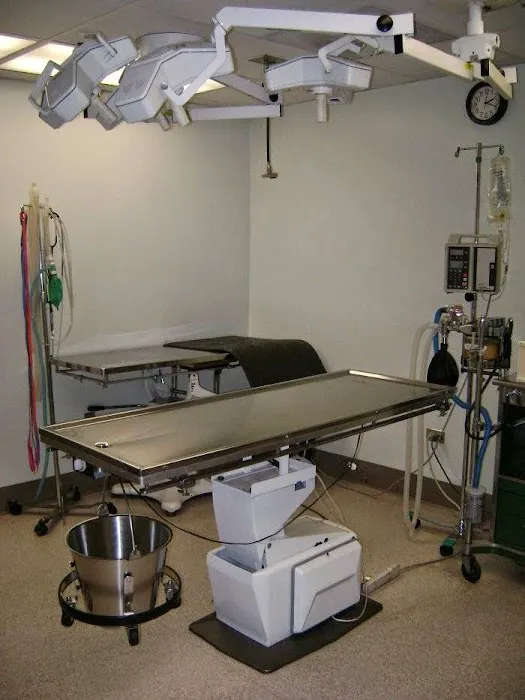 VCA Aspenwood Animal Hospital Picture 6