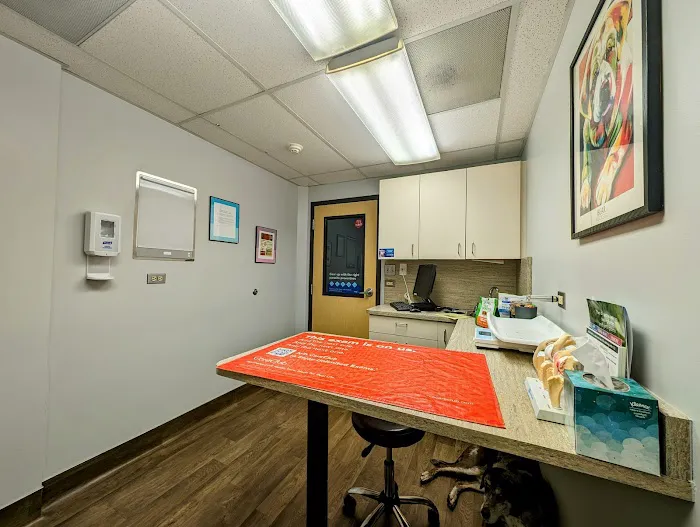 VCA Aspenwood Animal Hospital Picture 10