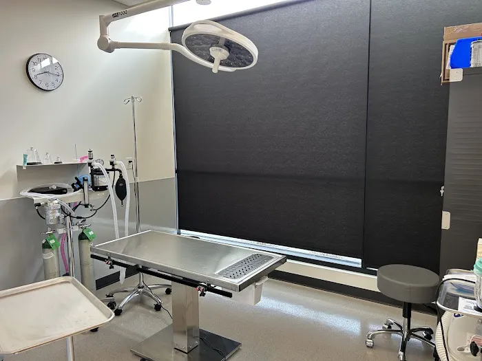 Veterinary Emergency Care Lowry Picture 2