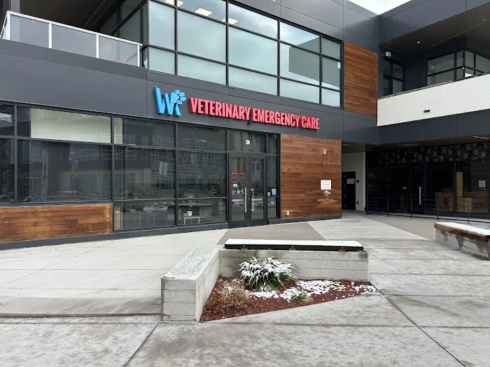 Veterinary Emergency Care Lowry Picture 3