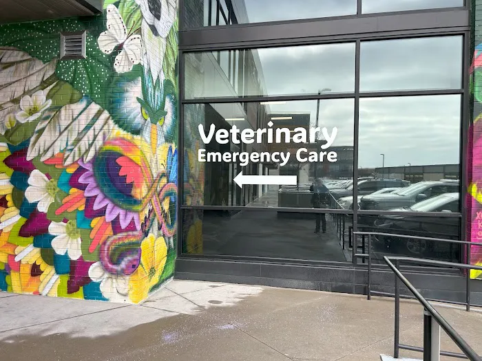 Veterinary Emergency Care Lowry Picture 5