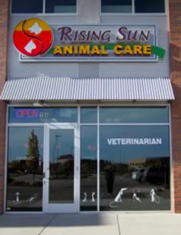 Denver Cat Hospital Picture 2