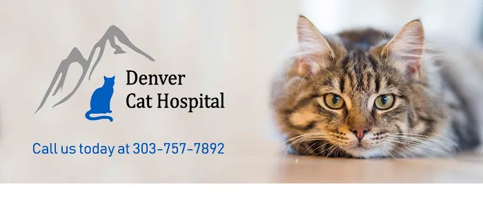 Denver Cat Hospital Picture 5