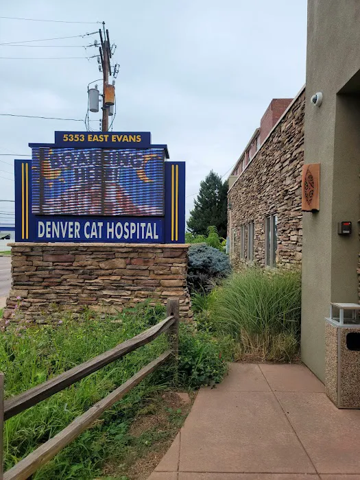 Denver Cat Hospital Picture 3