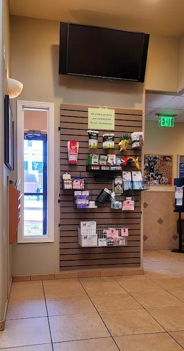 Denver Cat Hospital Picture 7