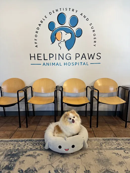 Helping Paws Animal Hospital Picture 3