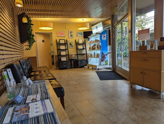Montclair Pet Hospital Picture 1