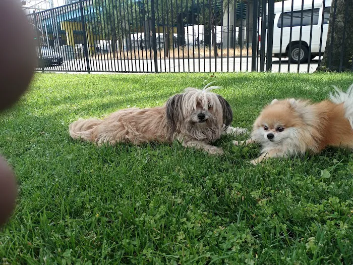 Montclair Pet Hospital Picture 4